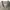 Beams Boy Pullover Smock Shirt photo 3