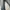 Japanese Brand Engineered Buckleback Jeans photo 8