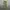 Vintage Streetwear Pria green photo 1