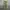 Vintage Streetwear Pria Green