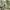 Vintage Streetwear Pria green photo 4