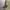 Vintage Streetwear Pria green photo 3