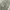 Vintage Streetwear Pria green photo 2