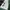 JERSEY NFL NEW YORK JETS photo 6