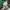 JERSEY NFL NEW YORK JETS photo 10