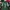 JERSEY NFL NEW YORK JETS photo 2