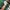 JERSEY NFL NEW YORK JETS photo 8
