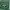 JERSEY NFL NEW YORK JETS photo 5