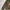 Polo Ralph Lauren Vintage Hoody Pria green photo 4
