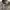 Canadian Army Bush Safari Jacket Olive Green Korean War RARE photo 4