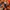 Milkboy Vintage Y2K Windbreaker Pria orange photo 7