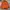Milkboy Vintage Y2K Windbreaker Pria orange photo 1