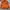 Milkboy Vintage Y2K Windbreaker Pria orange photo 8