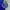 JERSEY FC PORTO photo 4