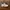 ASICS Gel-Kayano 14 "Birch Clay Grey"
 photo 1