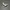 Saucony DXN Trainer photo 2