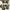 Decora camouflage bondage military shirt  photo 7