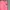 Sportswear Casual Windbreaker Wanita pink photo 4