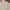 Uniqlo Vintage Casual Casual Shirt Pria White