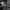 The North Face Gorpcore Sportswear Track jacket Pria black photo 5