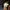The North Face Gorpcore Sportswear Track jacket Pria black photo 3