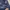 Adidas Sportswear Jersey Pria navy photo 6