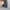 Skater Casual Sweatpants & Joggers Pria blue photo 8