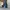 Skater Casual Sweatpants & Joggers Pria blue photo 7