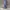 Skater Casual Sweatpants & Joggers Pria blue photo 5