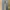 Wrangler Casual Jeans Pria blue photo 1