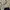 Dickies Streetwear Skater Casual pants Pria navy photo 3
