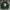 SPAO Forest Green Woodie Tennis Club Crewneck