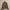 Forever21 Blouson Olive Bomber Jacket photo 1