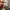 Adidas Streetwear Skater Sweatshirt Pria gray photo 5