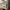 Adidas Streetwear Skater Sweatshirt Pria gray photo 4