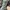 LOUIS VUITTON TRAINER LOW BLUE WHITE VELCRO , LOUIS VUITTON  photo 6