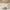 Palladium Pampa Beige Hi Wax Boots Original  photo 6