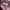 Japanese brand Streetwear Y2K Parka Pria burgundy brown photo 7