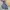Eider Goose Down Snowboard Jacket Gorpcore Waterproof photo 2