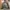 Adidas Streetwear Sportswear Windbreaker Pria multicolor photo 7