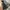 Adidas Streetwear Sportswear Windbreaker Pria multicolor photo 8