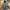 Adidas Streetwear Sportswear Windbreaker Pria multicolor photo 1