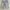 Shortpans / celana pendek /  celpen / pc76 photo 1