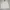 Casual Windbreaker Pria white gray photo 1