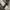 Celana Baggy Makaveli 2Pac Shakur Hip Hop photo 6