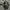 Celana Baggy Makaveli 2Pac Shakur Hip Hop photo 4
