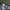 Vintage Y2K Hat Pria tan gray photo 5
