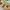 Shape sorting clock photo 7