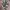 70’s Vintage Bucked Head Canvas Jungle Military photo 3
