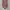 Vintage Luxury Pria red gray photo 6